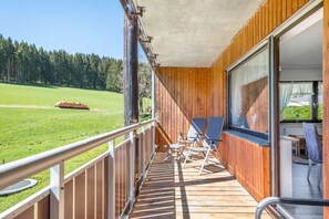 Property grounds - Apartment 'Lothar, 80qm' with Shared Garden, Balcony and Wi-Fi (Furtwangen)