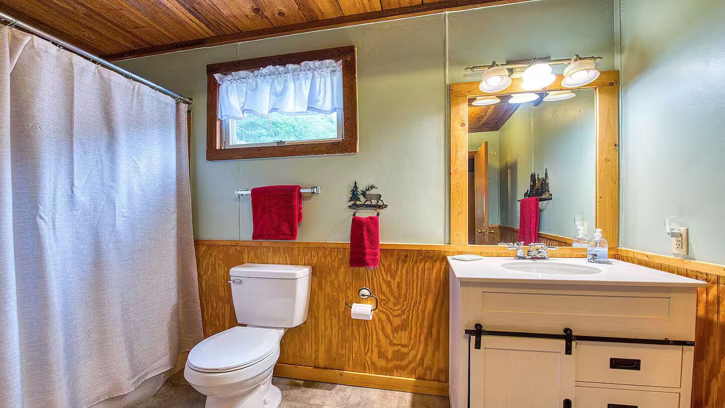 Shower, towels, soap, toilet paper