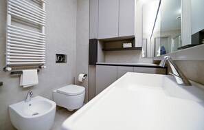 Shower, hair dryer, bidet, towels