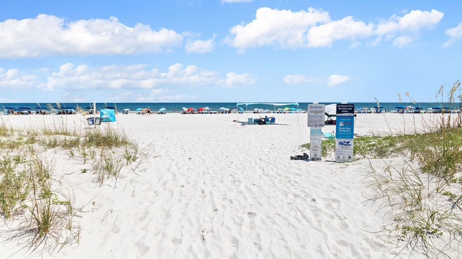 2BR Condo Beach Access Pool and Walk to Hangout