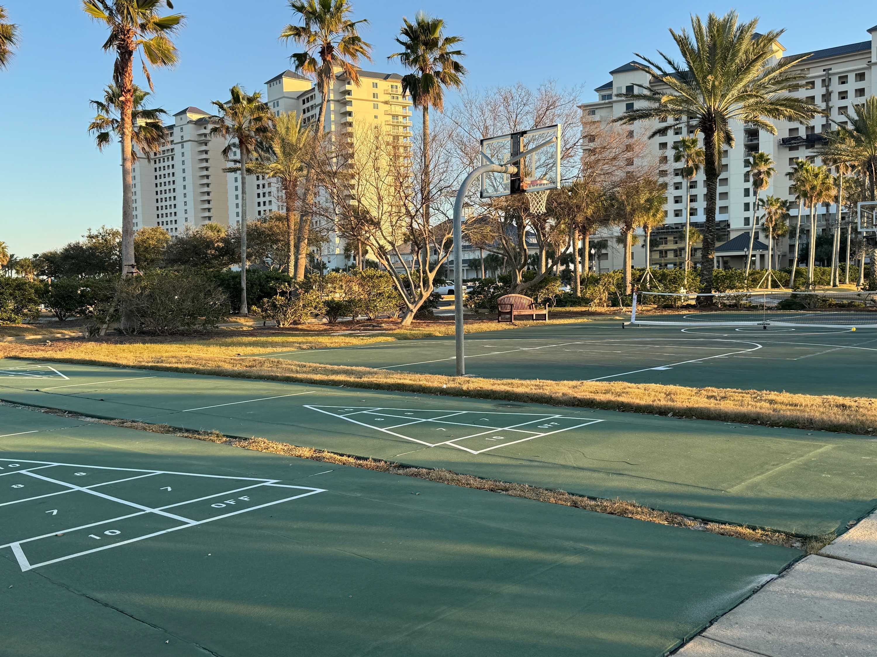 Una cancha de baloncesto con aro, rodeada de palmeras y edificios.
