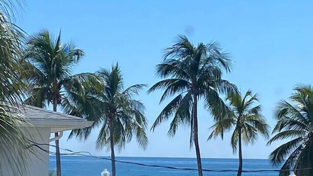 Une plage avec des palmiers, un ciel dégagé et une rive sablonneuse.