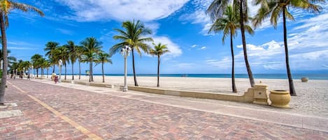 A paved walkway lined with palm trees and a beach in the background.