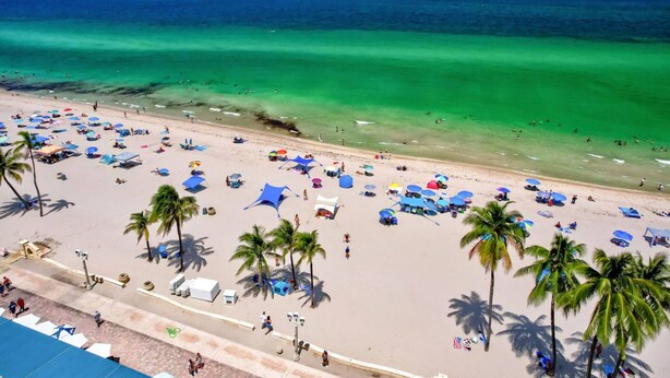 A beach with numerous umbrellas, palm trees, and people enjoying the seaside. - NEW NEW Ocean Oasis (Hollywood)