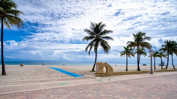 Eine Strandpromenade mit Palmen, einem gepflasterten Gehweg und Blick aufs Meer.