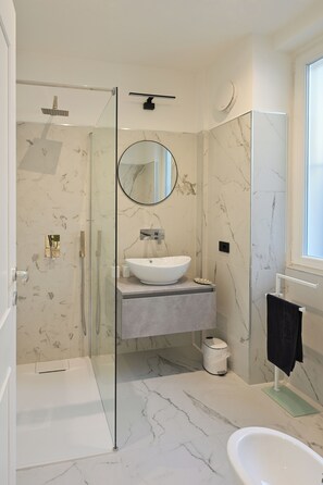 Shower, hair dryer, bidet, towels