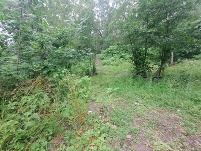 Primitive 2-bedroom 2 double bed popup quiet country setting on the cities edge 