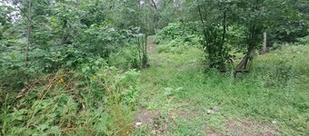 Primitive 2-bedroom 2 double bed popup quiet country setting on the cities edge