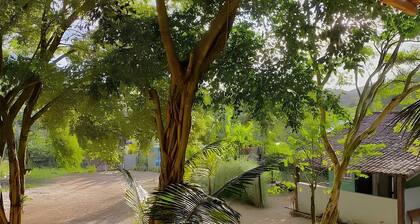 Suites very well located in Ilhabela (we also have a travel agency)