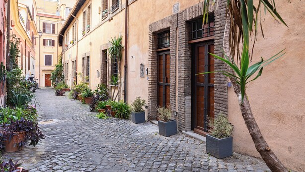 A narrow cobblestone street lined with buildings, each with a door and windows, and potted plants at the entrance.
