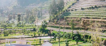 Kurniawan By Travelink