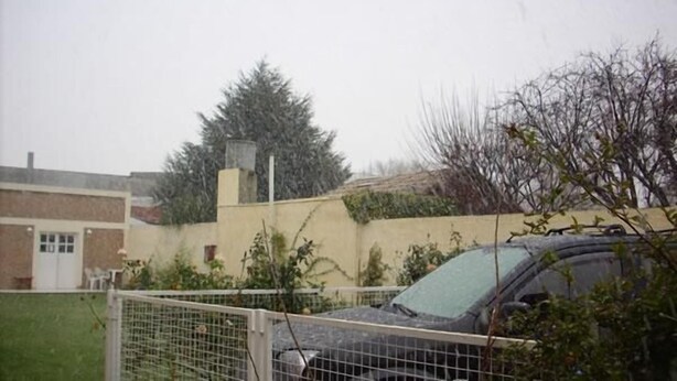 A fenced parking area with a car, a building with a brick facade, and a tree. - Hostel Viajeros (Puerto Madryn)
