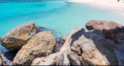 Welcome to Ocean's Tropical Escape!
Beach front, beach access 1-bedroom, 4 bed.