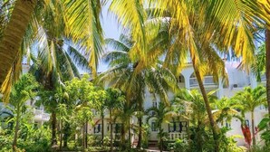 A lush garden with palm trees and a building with balconies. - Welcome to Ocean's Tropical Escape!
Beach front, beach access 1-bedroom, 4 bed. (Runaway Bay)