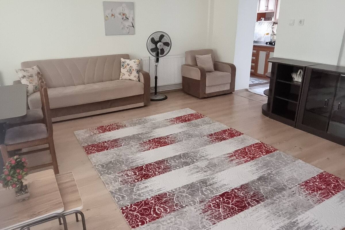 A living room with a beige sofa, a small table, a fan, and a red and grey patterned rug.
