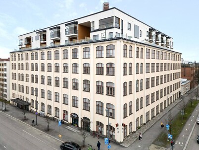 Come in! "Dyer" Stunning stud