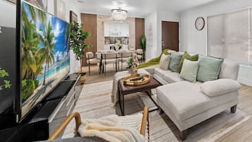 Smart TV, fireplace, books, music library