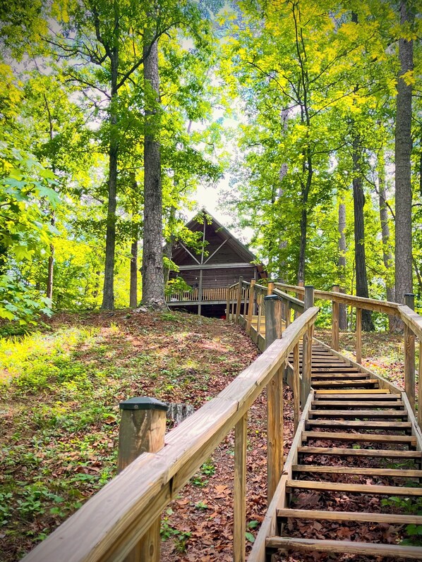 Un escalier en bois menant à une cabane au cœur d’une forêt.