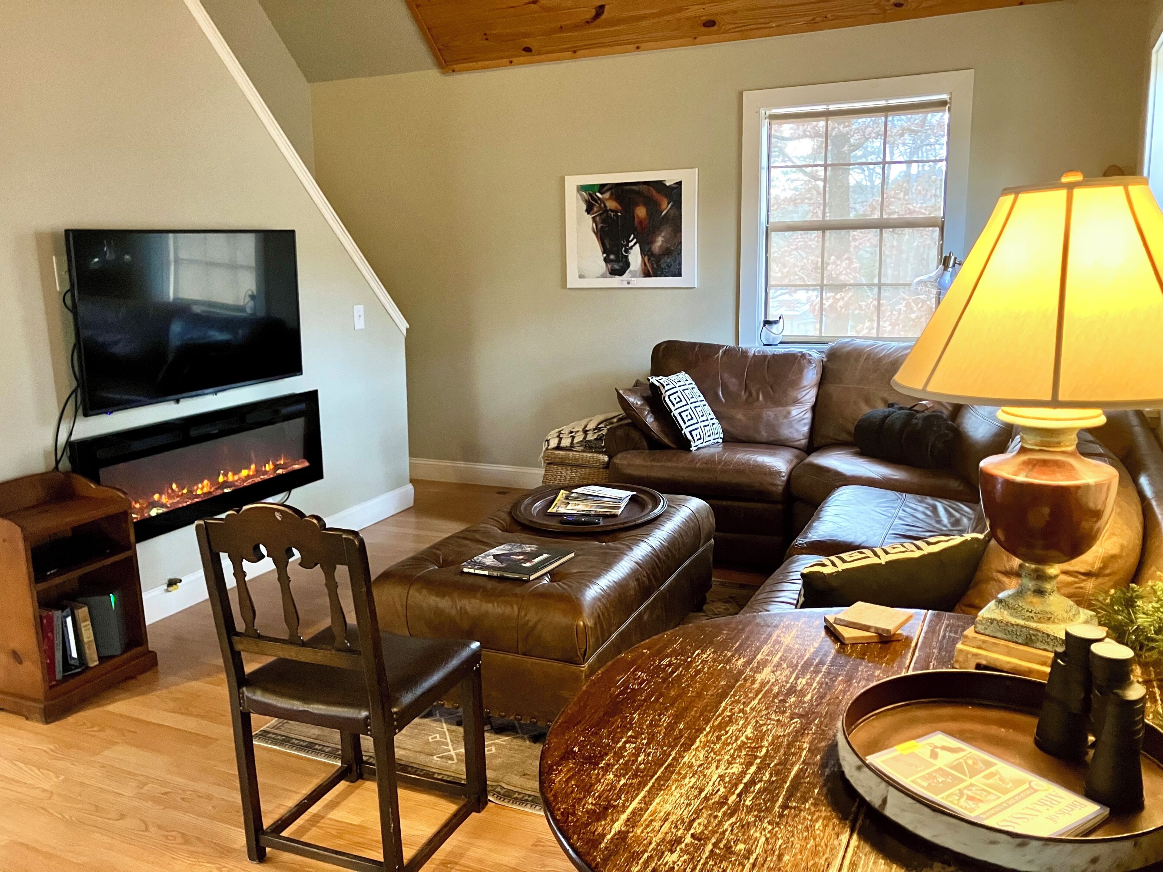 Smart TV, DVD player, books, video library