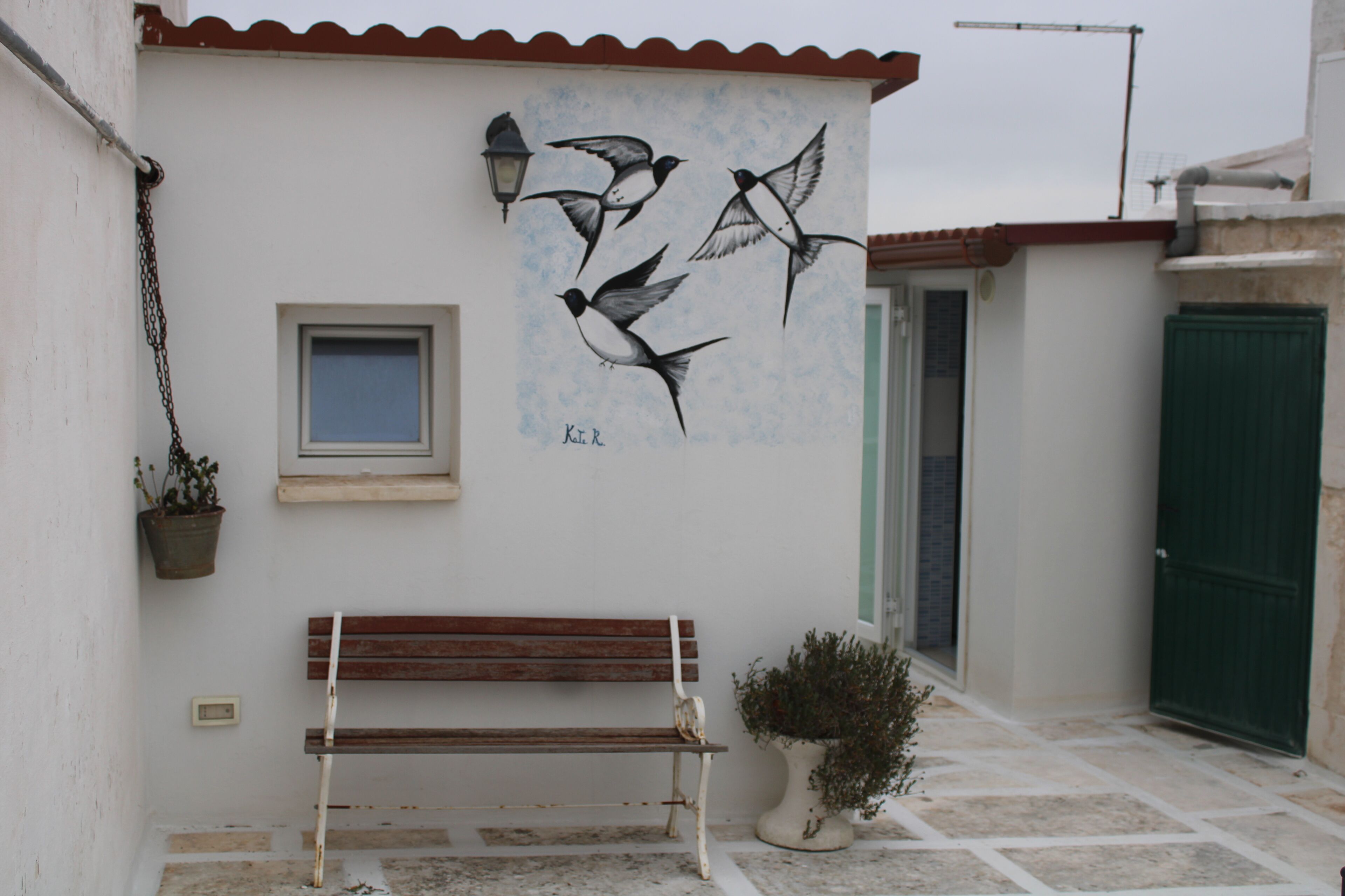 A bench, a potted plant, and a wall mural of birds.