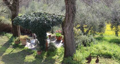 Countryside Villa in the Euganean Hills