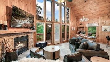 Smart TV, fireplace, video games, books