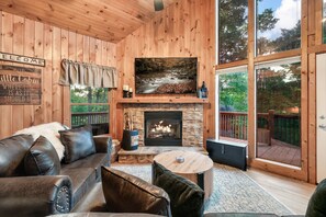 Smart TV, fireplace, video games, books