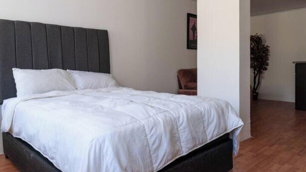 A bedroom with a bed, a headboard, a chair, and a plant.
