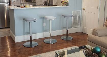 2 Bedroom Apt in the heart of Atlanta with Wi-Fi and EV charging station!