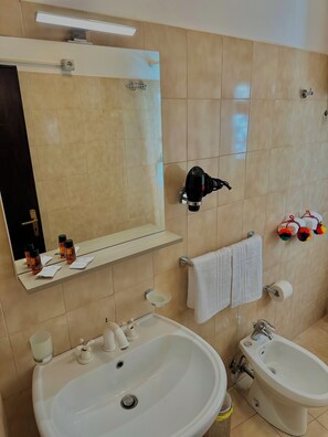 Hair dryer, towels, soap, toilet paper