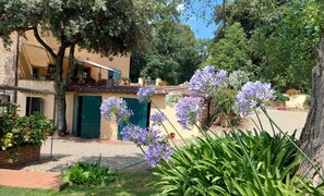 Parco della struttura