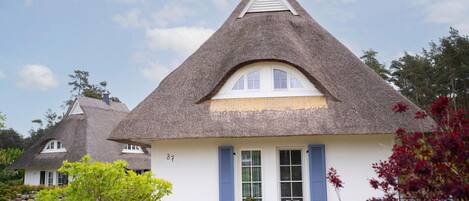 A traditional thatched-roof house with a white facade and blue shutters, number 37, surrounded by greenery.