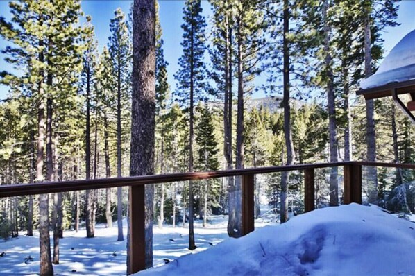 Àrea exterior de l'allotjament