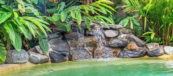 Tropicana Cottage Eclectic Poolside Haven near CBD