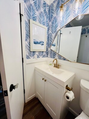 Hair dryer, towels, soap, toilet paper