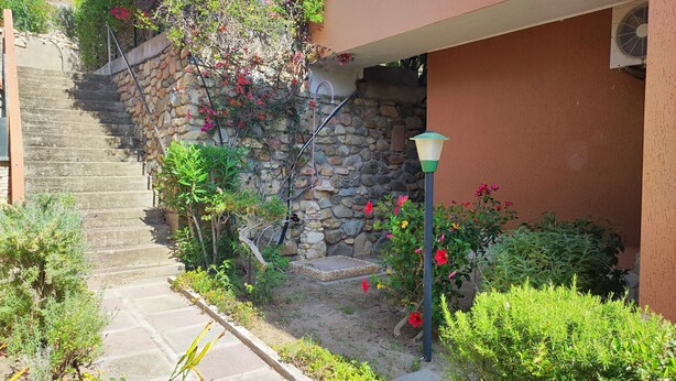 Un escalier en pierre menant à l’entrée d’un bâtiment, entouré d’une végétation luxuriante et de plantes en fleurs.
