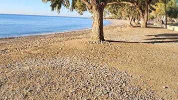 Apartament | 2 dormitoris i Internet