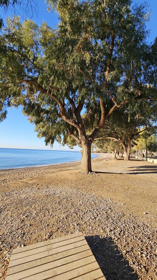 2 habitaciones y acceso a internet 