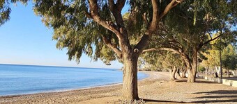 Happy Holidays by Bookaparadise