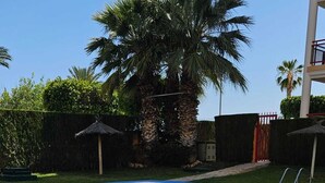 Una piscina con agua azul cristalina, rodeada de palmeras y un seto.