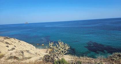 Happy Holidays by Bookaparadise