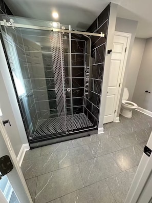 Shower, hair dryer, towels, soap - Kingdom luxury (Darby)