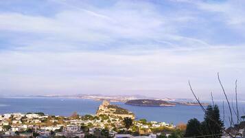 A coastal town with a prominent castle on a hill, surrounded by residential buildings and a view of the sea.