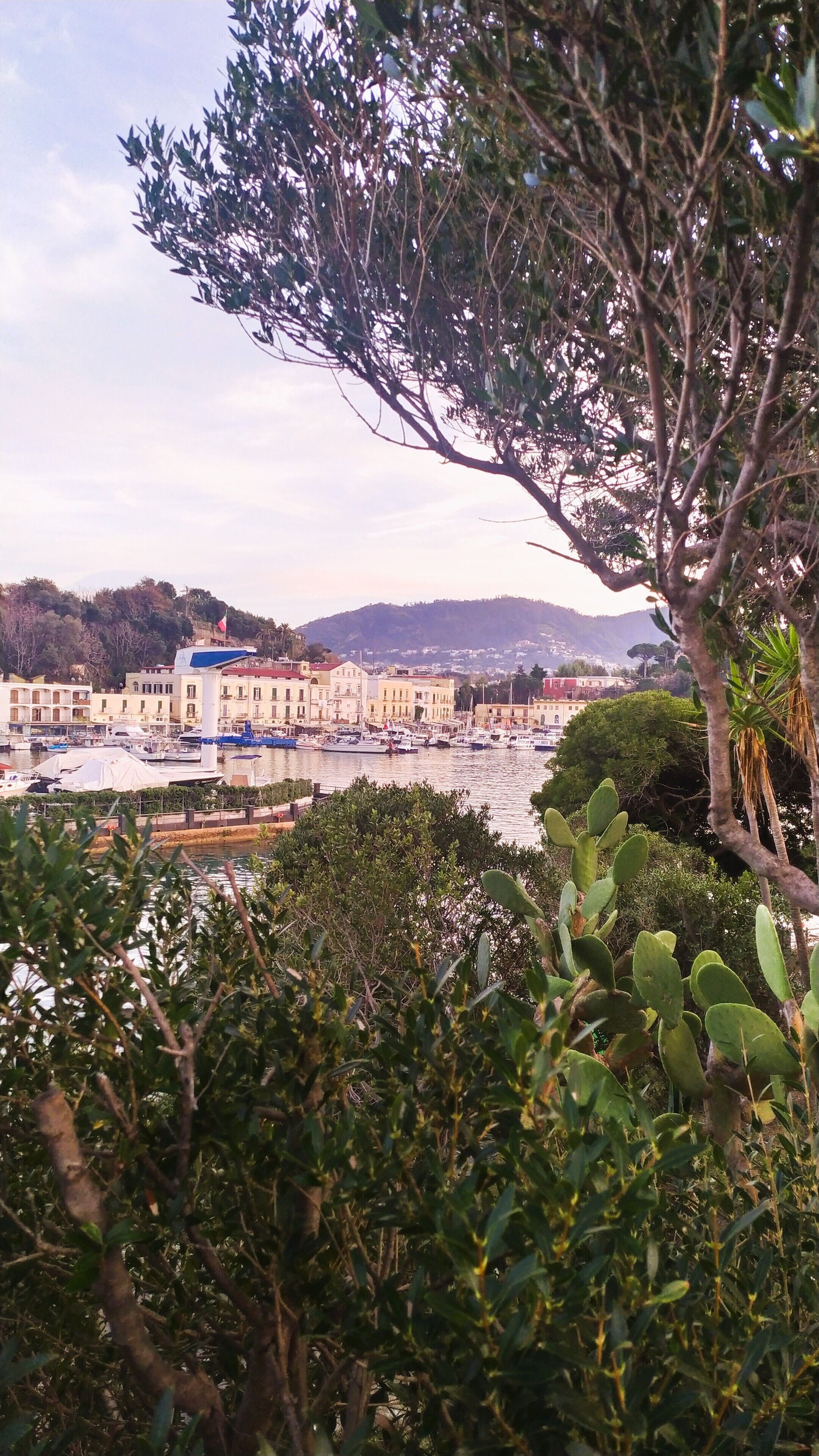 A coastal town with a marina, buildings with balconies, and a hill in the background.