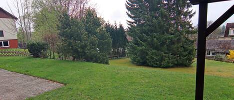A grassy yard with a wooden structure, trees, and a house in the background.