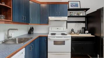 Fridge, oven, stovetop, dishwasher