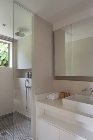 Shower, towels, soap, toilet paper