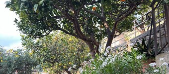 Piera's House: relaxation, hill, view