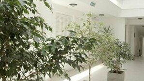 A modern interior with a central atrium, featuring a row of potted plants and a glass railing. - Hotel Patio del Mar (Mar del Plata)
