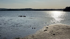 A beach with calm water, a clear sky, and distant hills.